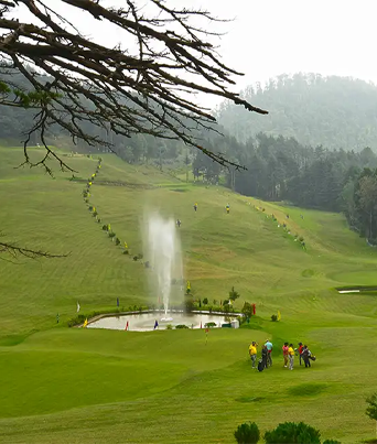 golden-triangle-with-shimla
